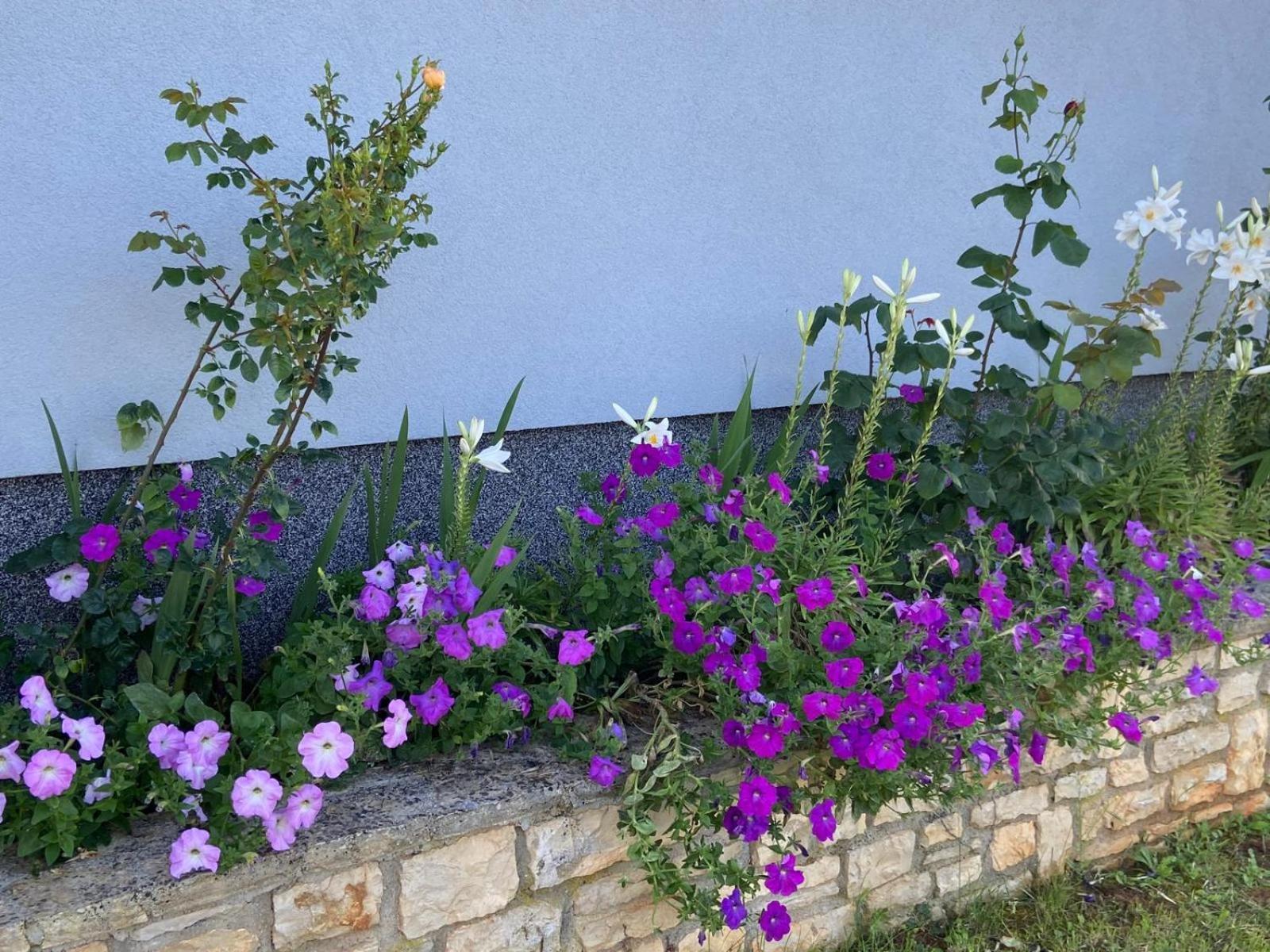 Holiday Home Mihaela Višnjan Dış mekan fotoğraf