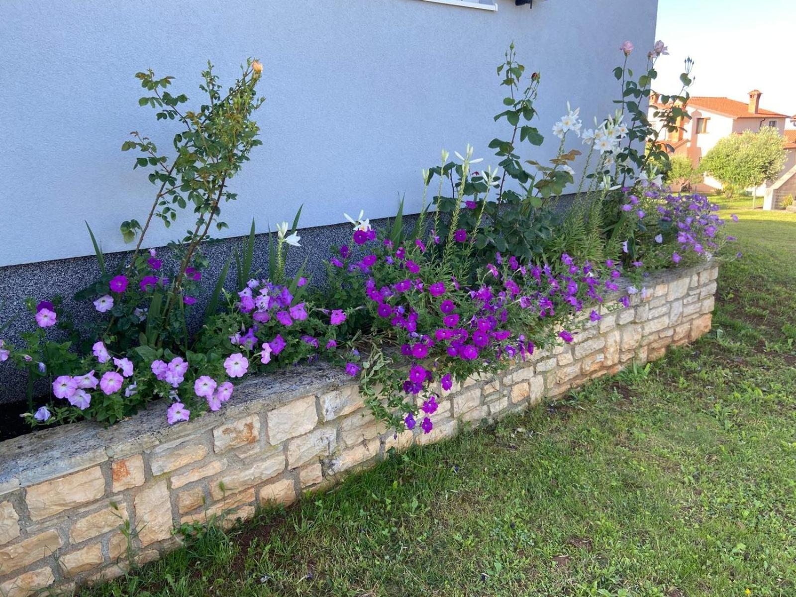 Holiday Home Mihaela Višnjan Dış mekan fotoğraf