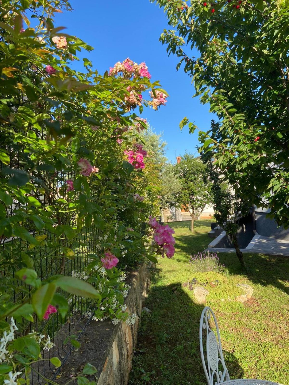 Holiday Home Mihaela Višnjan Dış mekan fotoğraf